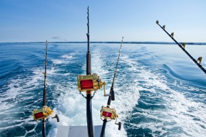 Summer Fishing