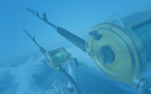 Charter-Fishing-Charelston