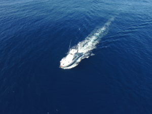 Deep Sea Fishing