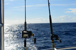 fall fishing tips charleston, sc