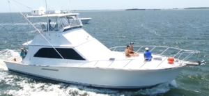 harbor-cruise-charleston-sc