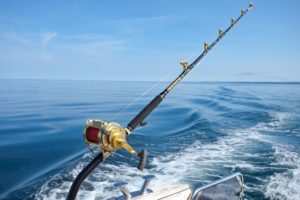 Summer Offshore Fishing