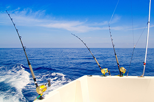 Trolling for Fish