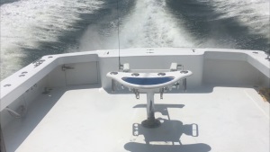 Deep Sea Fishing, Deep Sea Fishing Boats, Deep Sea Fish