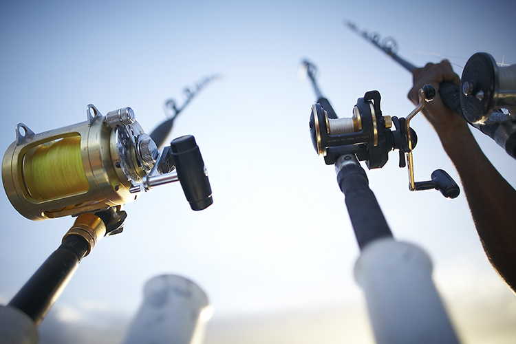 Charleston Offshore Fishing Rods