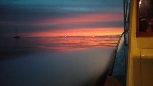 Late Night Fishing Charleston SC