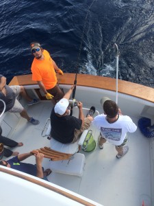 Deep Sea Fishing Wahoo Fishing Charter Charleston SC