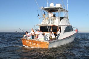 fall offshore fishing charleston, sc
