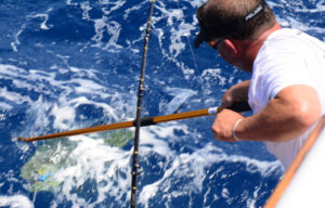 Summer Fishing in Charleston, SC