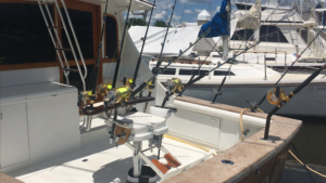 Summer Fishing Charleston SC