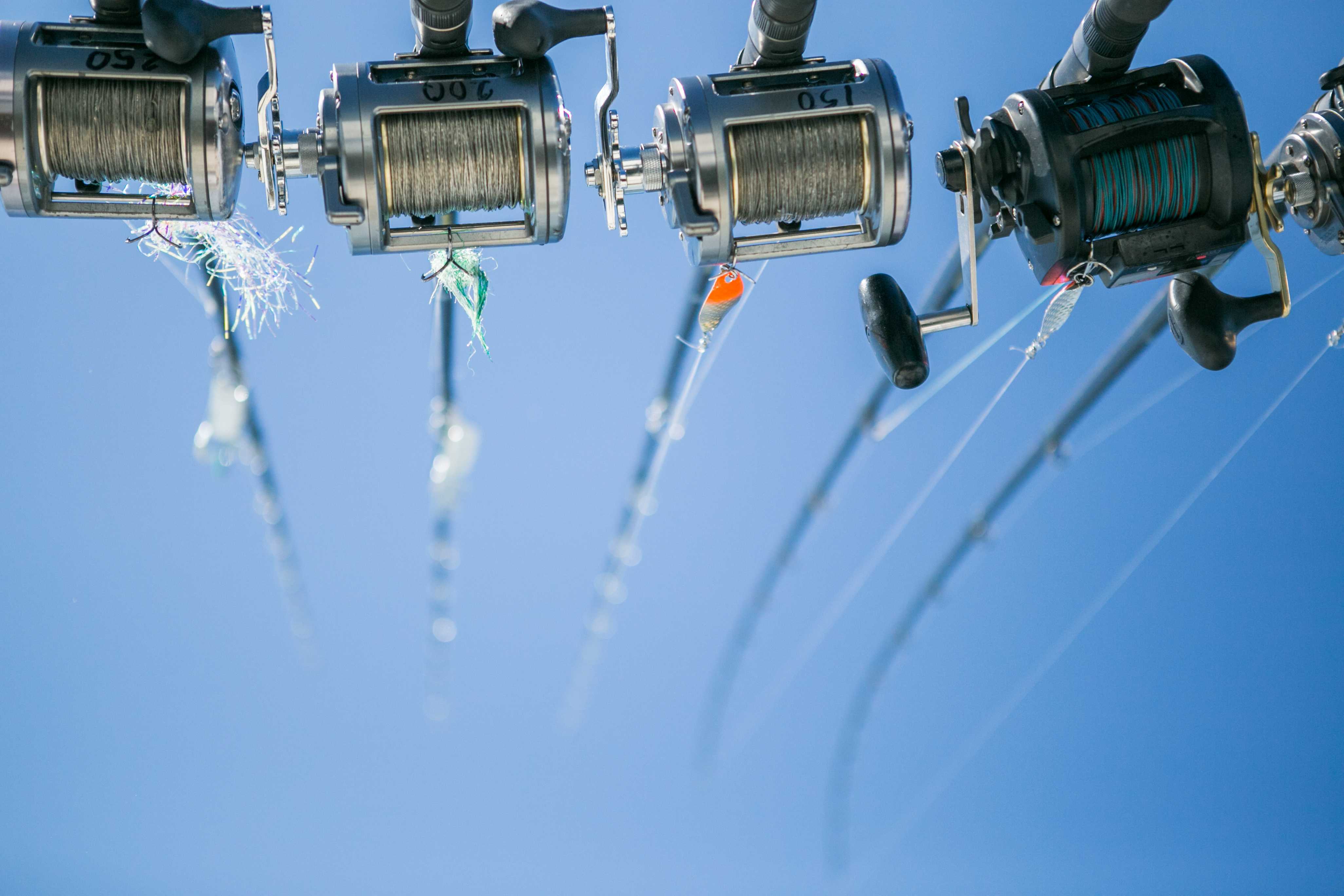 Have the Vacation of a Lifetime With Large Group Fishing Charters